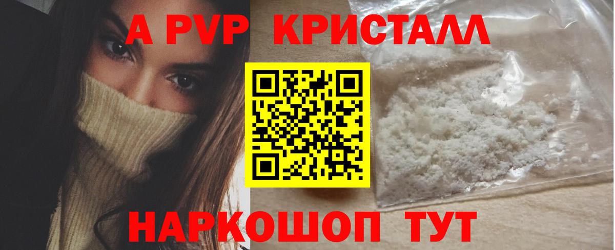 A PVP СК КРИС Новоалександровск