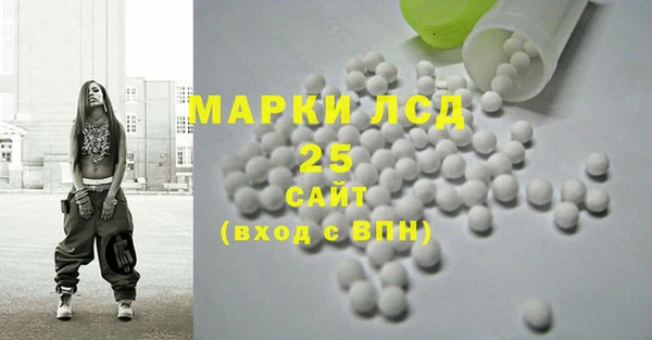 ПСИЛОЦИБИНОВЫЕ ГРИБЫ Абаза