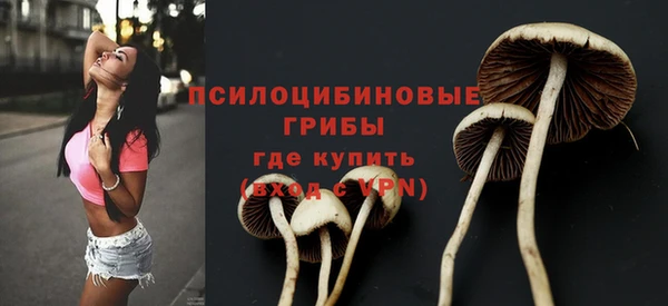спиды Абинск