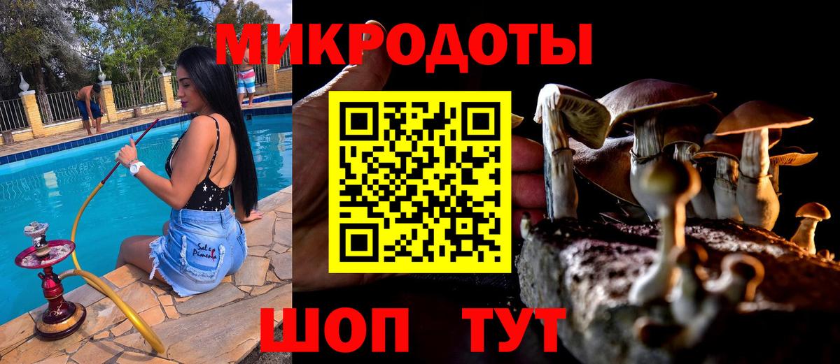 Псилоцибиновые грибы мухоморы  Вход с VPN  Новоалександровск 