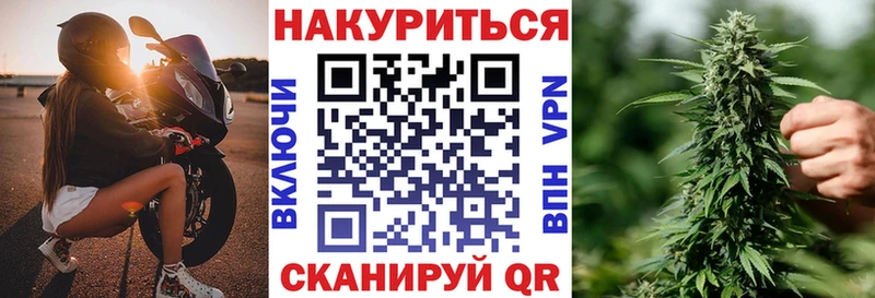как найти закладки  Новоалександровск  Бошки Шишки гибрид 