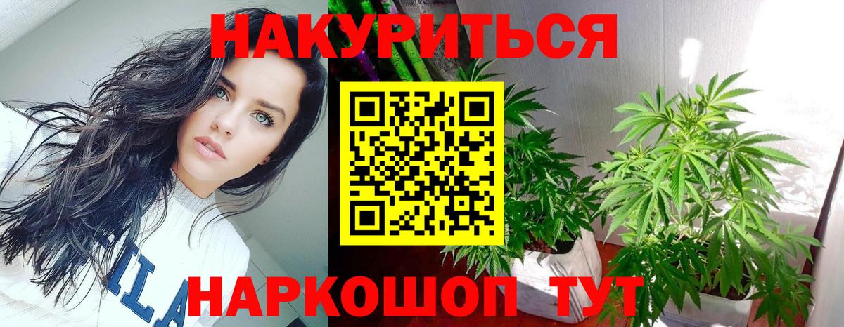 Конопля семена  Шишки марихуана индика  Новоалександровск  Вход с VPN 